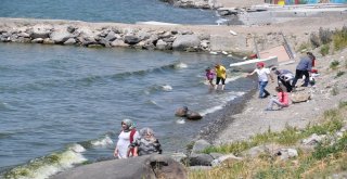 (Özel) Karsta Sıcaktan Bunalanlar Çıldır Gölünde Serinliyor