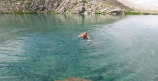 (Özel Haber) Kışın Üstünde Yürüdükleri Göllerde Yazın Yüzüyorlar