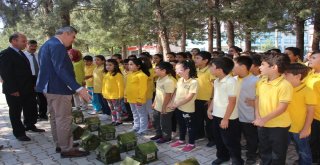 Bucakta Okul Bahçelerine Kuş Yuvası