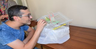 (Özel Haber) Çapkın, Başkanlık Sistemine Ayak Uydurdu