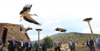 Bakanlık Yetkilileri Salda Gölünde İncelemelerde Bulundu