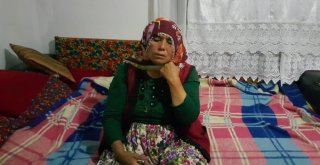 Ormanda Kaybolmuştu, Şehirde Görüldü