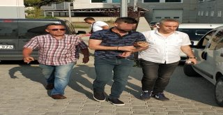 Samsunda Yasa Dışı Bahis Operasyonu: 13 Gözaltı