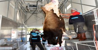 Büyükşehir Kurban Bayramına Hazır