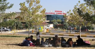 Göçmenleri İstanbul Ve Ankara Diye Diyarbakıra Getirdiler