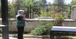 Birecikte Mezarlığa Kadın Eli Değdi