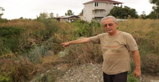 Deprem Değil Heyelan Bu Hale Getirdi