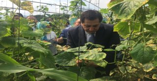 Tarımla Engelleri Aşıyoruz İlk Meyvelerini Verdi