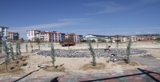 Beypazarında Parklara Bakım Ve Onarım