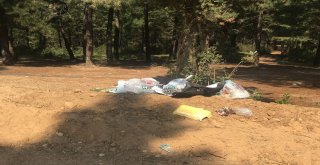 (Özel Haber) Çöplüğe Dönen Aydos Ormanı Havadan Görüntülendi