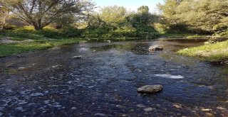 Beylerderesinde Kimyasal Atık İddiası