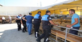 Polisler, Kurban Pazarında Dolandırıcılara Karışı Uyarı Yaptı