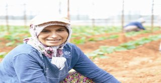 Asat Tan Gazipaşaya 4 Yılda 46 Milyon Tl Yatırım