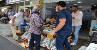 Balıkçı Tezgahlarında Yoğunluk