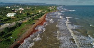 Orduda Selin Faturası Ağır Oldu