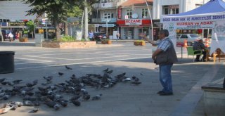 Yemleri Vatandaşlardan