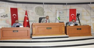 Gençer, Orman Yangınlarını Gündeme Taşıdı