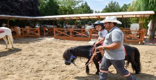 Altınparkta Midilli Keyfi