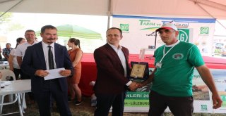 Tekirdağda İnek Güzellik Yarışması