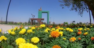 Gaziantepin Misafirlerine Kültür Kapısı İle Hoş Geldin Denilecek