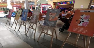 Meysu Çocuk Kulübünde Hayvanları Koruma Günü Etkinlikleri