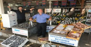 Tezgahlardaki Hamsi Bolluğu Yüzleri Güldürdü