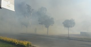 İzmirde Ot Yangını Paniğe Sebep Oldu