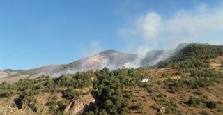 Gümüşhanede Örtü Yangını
