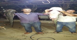 Çine Çayı Bereket Saçıyor