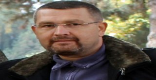 Dokusal Soyutlamalar Iı