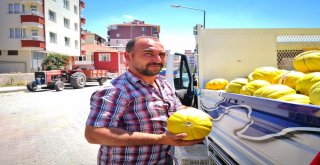 Çorumun Meşhur 10 Dilim Kavunu Tezgahta Yerini Aldı