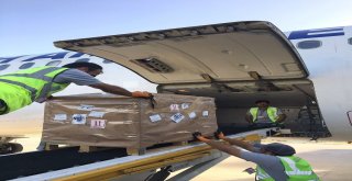 Turkish Cargo, Böğürtlen Taşıdı