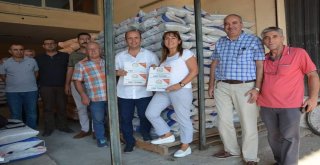 Aydına 490 Ton Hibe Tritikale Ve Fiğ Tohumu