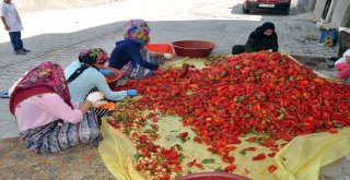 (Özel) Suriye Sınırında Sofralara Tat Veren Acı