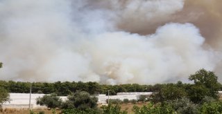 Antalyadaki Orman Yangını Devam Ediyor