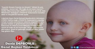 Mhp, Lösante Hastanesinin Sorunları İçin Devreye Girecek