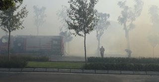 İzmirde Ot Yangını Paniğe Sebep Oldu