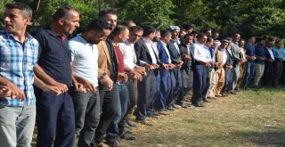 Güvenlik Kuvvetleri Şehit Ailesini Düğünlerinde Yalnız Bırakmadı