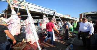 Yenimahallede Kurban Bayramı Coşkusu