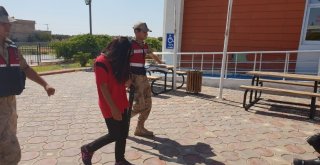 Orman Gibi Hint Keneviri Tarlası Jandarmayı Da Şaşırttı