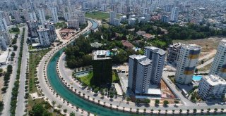 Dört Bir Yanı Sarmaşıklarla Kaplı Türkiyenin Tek Yeşil Apartmanı Adanada
