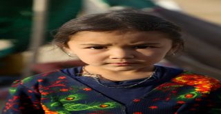 Kuraklığın Vurduğu Afganları Sert Bir Kış Bekliyor