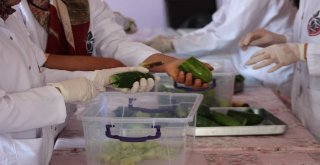 Gastronomi Kenti Hatayda Dolmalık Ve Turşuluk Salatalıklar Kışa Hazırlanıyor