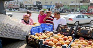 Mezitlide Şeftaliler Üreticiden Direk Tüketiciye Ulaşıyor
