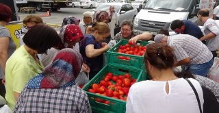 Edirnede Salçalık Domates İzdihamı