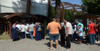 Teleferik, 5 Günde Yaklaşık 30 Bin Yolcu Taşıdı