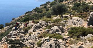 Ölüme Meydan Okuyarak Fotoğraf Çektiriyorlar