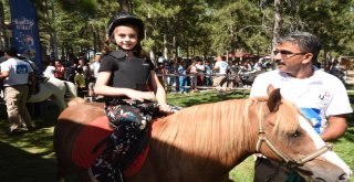 Çocukların Pony Sevinci