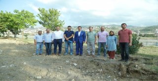 Samsuna “Yaşam Parkuru”