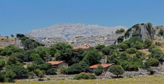 Sit Alanı İçinde Kalınca Hayatları Çekilmez Hale Geldi